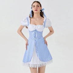 Blue Country Blossom Gingham Dress | Rave Set