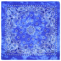 Paisley Print Unisex Blue Tie-Dye Bandana | Rave Set